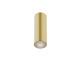 Armatürler HOKASU Tube (GOLD/D55 — 2.7K/10W/10deg)