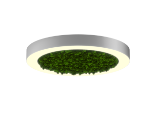 Armatürler HOKASU Halo Moss (RAL9003/D625/LT70 — 3K/59W/120deg)