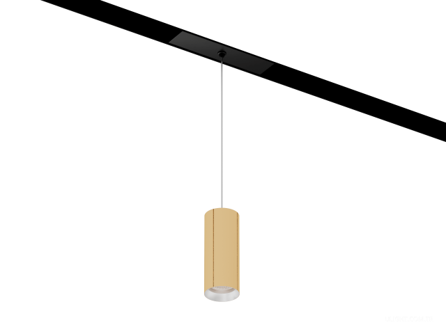 Armatürler HOKASU OneLine Tube Hang (GOLD/D40/100mm/Lens — 3K/7W/24deg)