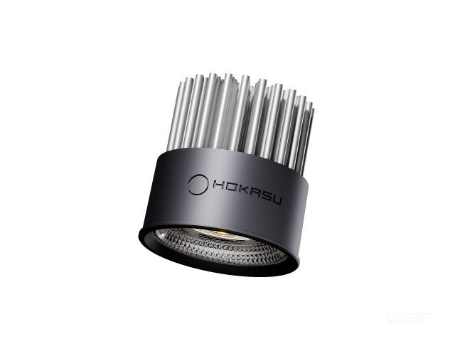 Module HOKASU HS45 10W (MR16/GU10)