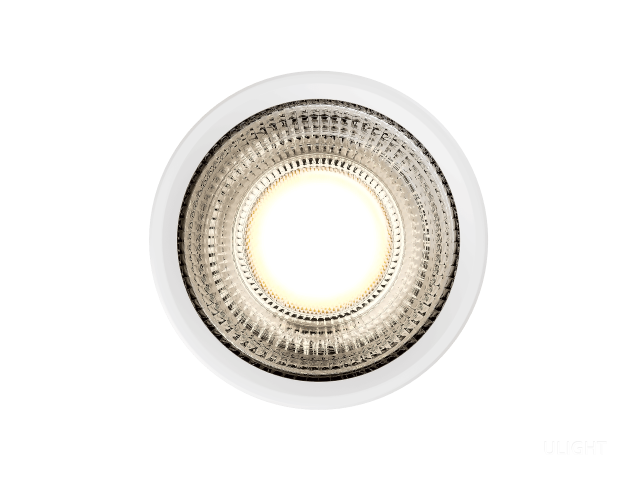 Module HOKASU HS45 10W (MR16/GU10)
