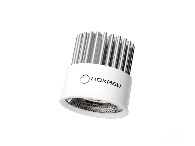 Module HOKASU HS45 10W (MR16/GU10)