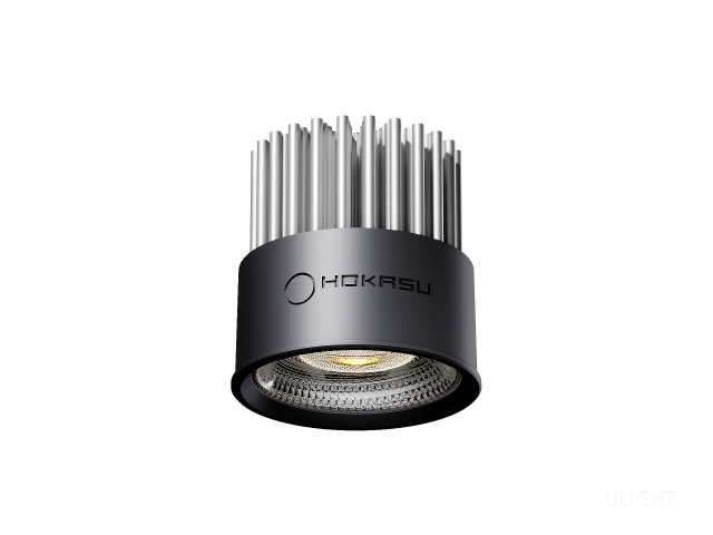 Module HOKASU HS45 10W (MR16/GU10)