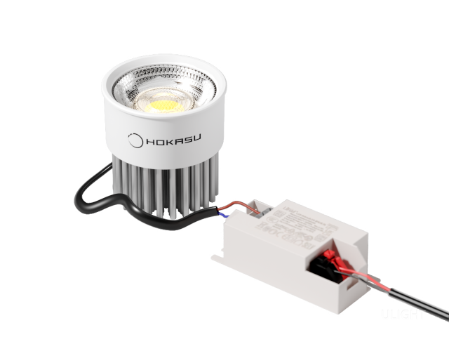 Module HOKASU HS45 10W (MR16/GU10)